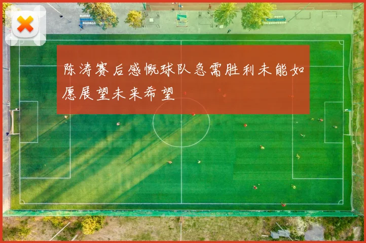 陈涛赛后感慨球队急需胜利未能如愿展望未来希望