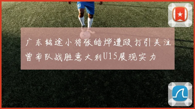 广东铭途小将张皓烨遭殴打引关注曾率队战胜意大利U15展现实力