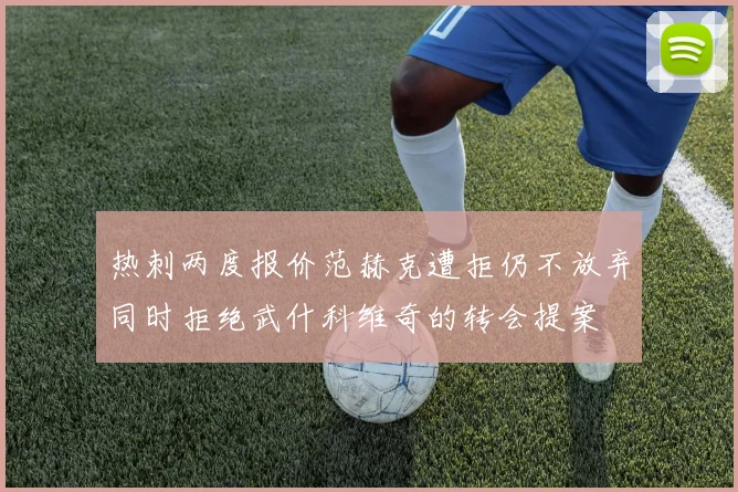 热刺两度报价范赫克遭拒仍不放弃同时拒绝武什科维奇的转会提案