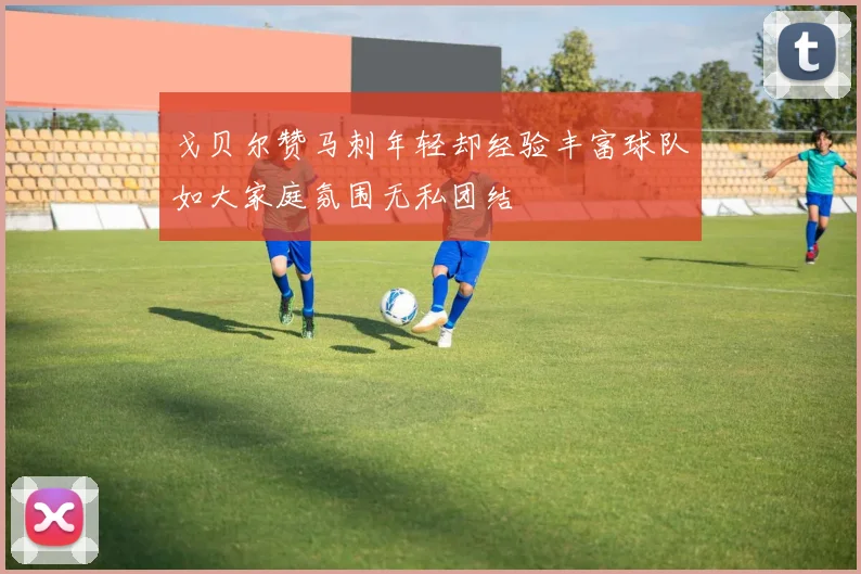戈贝尔赞马刺年轻却经验丰富球队如大家庭氛围无私团结